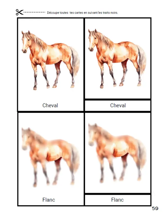 Nomenclature Chevaux